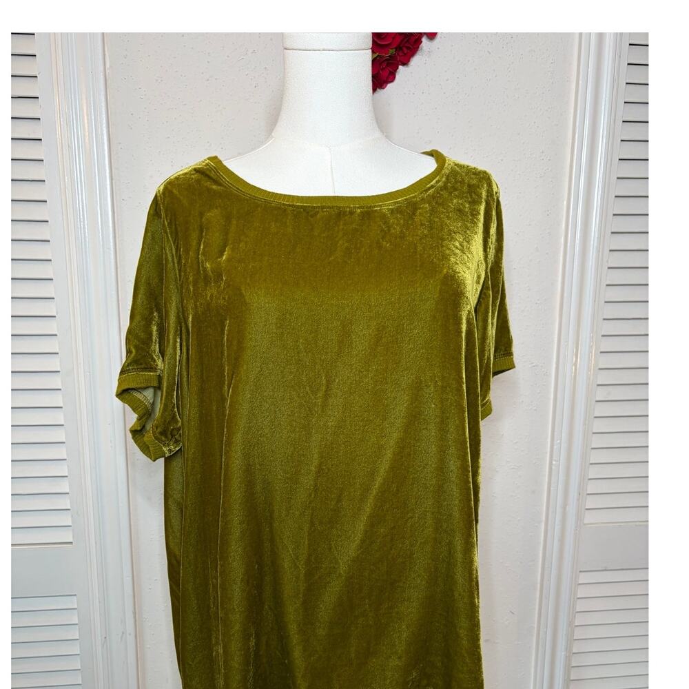 Ivy Jane Olive Solid Velvet Top Size M